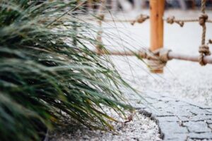Duurzame en Onderhoudsvriendelijke Tuinen Zonder Gras: Een Nieuwe Trend in Tuinontwerp