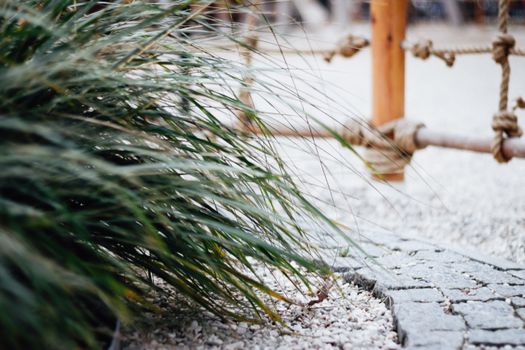 Duurzame en Onderhoudsvriendelijke Tuinen Zonder Gras: Een Nieuwe Trend in Tuinontwerp